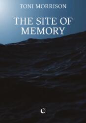 The Site of Memory (ISBN: 9781068591891)