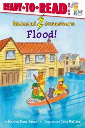 Flood! (ISBN: 9781416925538)