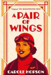 A Pair of Wings (ISBN: 9781913175801)