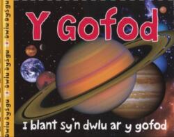 Cyfres Dwlu Dysgu: Y Gofod (ISBN: 9781849674348)