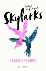 Skylarks (ISBN: 9781408883617)