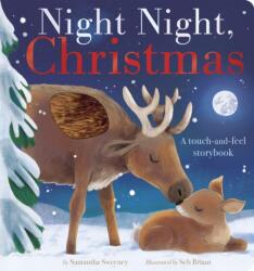 Night Night, Christmas (ISBN: 9781664351592)
