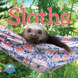 Original Sloths Wall Calendar 2026 (ISBN: 9781523529339)