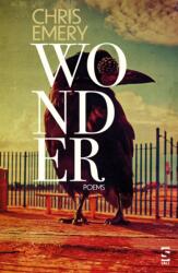 Wonder (ISBN: 9781784633707)