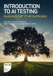 Introduction to AI Testing - Dmitrii Degtiarenko, Iosif Itkin, Iuliia Emelianova (ISBN: 9781780177182)