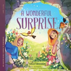 A Wonderful Surprise (ISBN: 9781645074977)