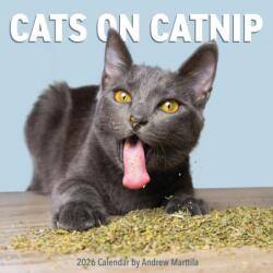 Cats on Catnip Wall Calendar 2026 (ISBN: 9781523531523)