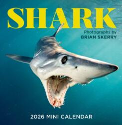 Shark Mini Wall Calendar 2026 (ISBN: 9781523531455)