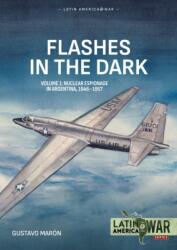 Flashes in the Dark Volume 1 (ISBN: 9781804519356)