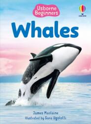 Beginners Whales (ISBN: 9781835409039)