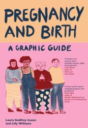 Pregnancy and Birth: A Graphic Guide (ISBN: 9781837731336)