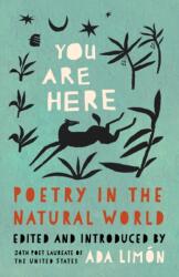You Are Here (ISBN: 9781571315694)