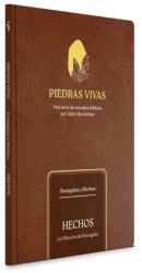 Piedras vivas: Hechos - Estudio biblico (ISBN: 9798384507086)