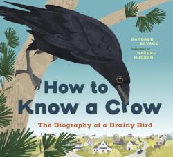 How to Know a Crow (ISBN: 9781778403354)
