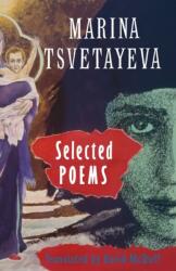 Selected Poems (ISBN: 9781852240257)