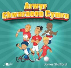 Arwyr Chwaraeon Cymru (ISBN: 9781800993952)