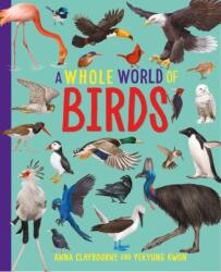 A Whole World of. . . : Birds (ISBN: 9781445188508)