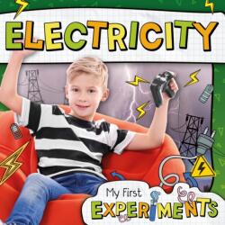 Electricity (ISBN: 9781786379634)
