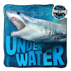 Under Water (ISBN: 9781801556514)