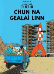 Chun na Gealai Linn (ISBN: 9781913573959)