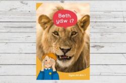 Dyna Chi Dric: Beth Ydw I? (ISBN: 9781783904495)