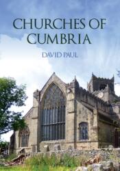 Churches of Cumbria (ISBN: 9781398123373)