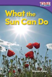What the Sun Can Do (ISBN: 9781493820535)