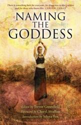 Naming the Goddess (ISBN: 9781782794769)