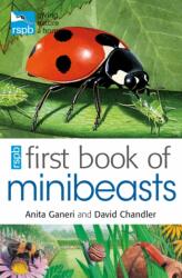 RSPB First Book Of Minibeasts (ISBN: 9781408137154)