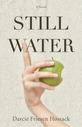 Stillwater (ISBN: 9781990160202)