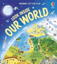 Look Inside Our World (ISBN: 9781836045472)