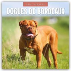 Dogues de Bordeaux - Bordeauxdoggen - Bordeaux Doggen 2026 - 16-Monatskalender (ISBN: 9781804428030)