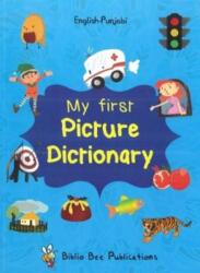My First Picture Dictionary: English-Punjabi (ISBN: 9781908357878)