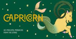 Capricorn Pocket Zodiac Cards (ISBN: 9781590035702)