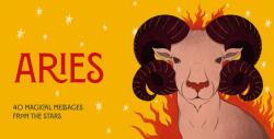 Aries Pocket Zodiac Cards (ISBN: 9781590035597)