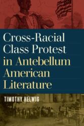 Cross-Racial Class Protest in Antebellum American Literature (ISBN: 9781625344960)