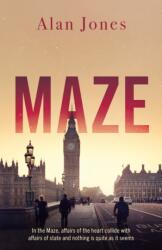 Maze (ISBN: 9781836284383)