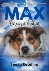 Max: One in a Million (ISBN: 9781839528811)