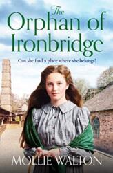The Orphan of Ironbridge (ISBN: 9781838773144)