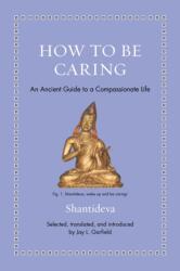 How to Be Caring (ISBN: 9780691274072)