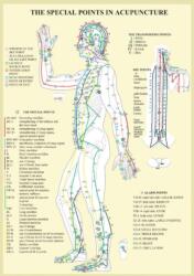 Special Points in Acupunture -- A4 (ISBN: 9789070281793)