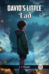 David's Little Lad (ISBN: 9789361151644)
