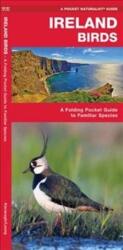 Ireland Birds (ISBN: 9781620053539)