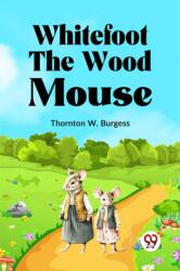Whitefoot the Wood Mouse (ISBN: 9789359327891)