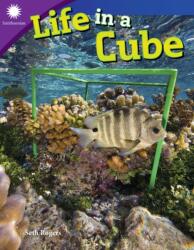 Life in a Cube (ISBN: 9781493867073)