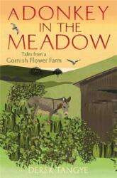 A Donkey in the Meadow (ISBN: 9781472109934)
