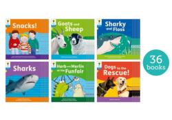 Oxford Reading Tree: Floppy's Phonics Decoding Practice: Oxford Level 3: Class Pack of 36 (ISBN: 9781382030489)