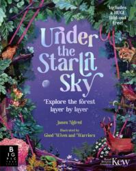 Under the Starlit Sky (ISBN: 9781800787377)