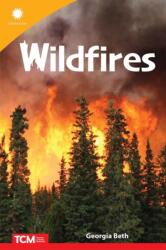 Wildfires (ISBN: 9798765968758)