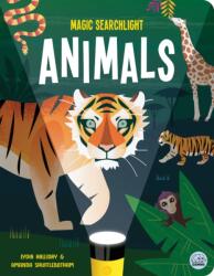 Magic Searchlight - Animals (ISBN: 9781917082457)